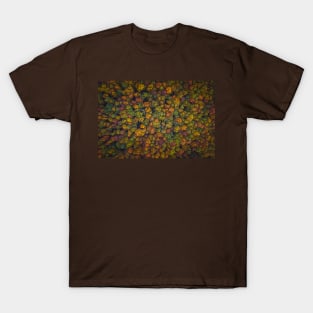 Aerial top down view of vibrant colorful autumn forest T-Shirt